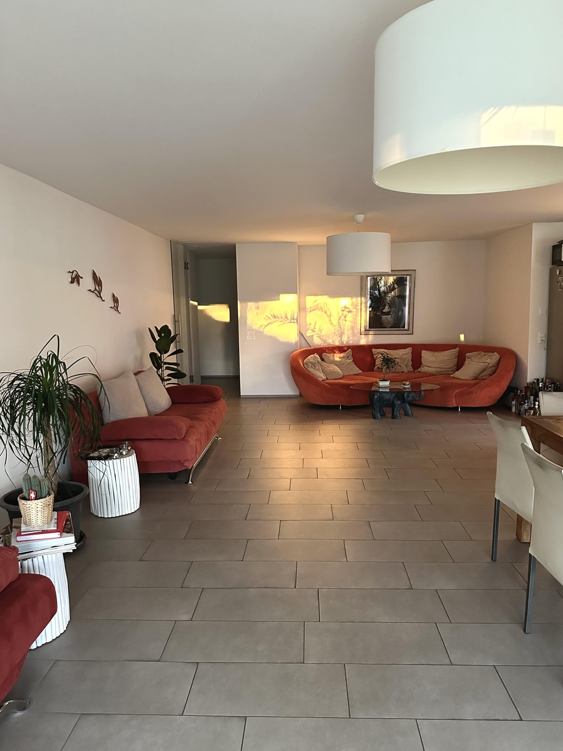 Chambre en colocation