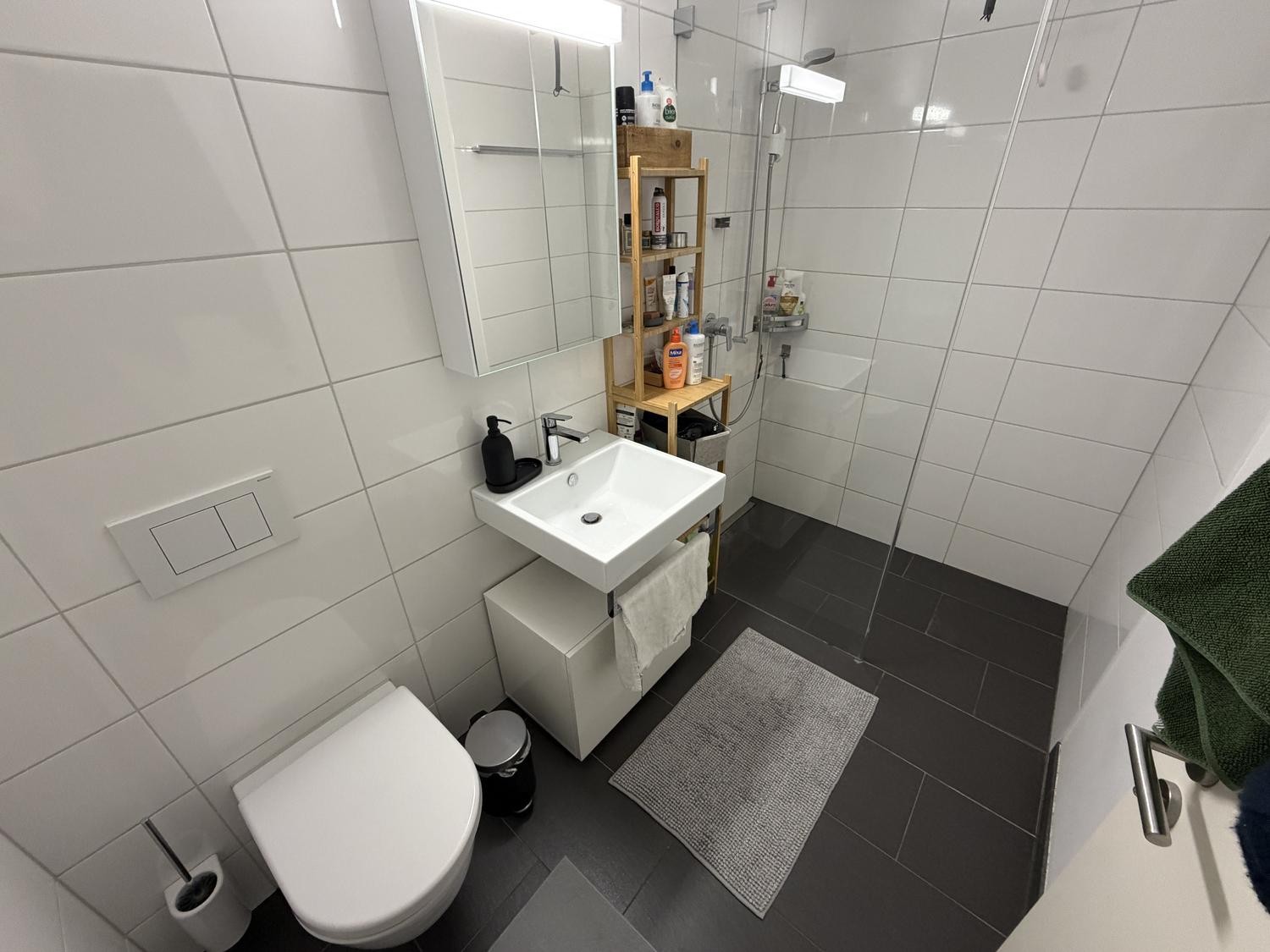 Appartement de 3 ½ pièces