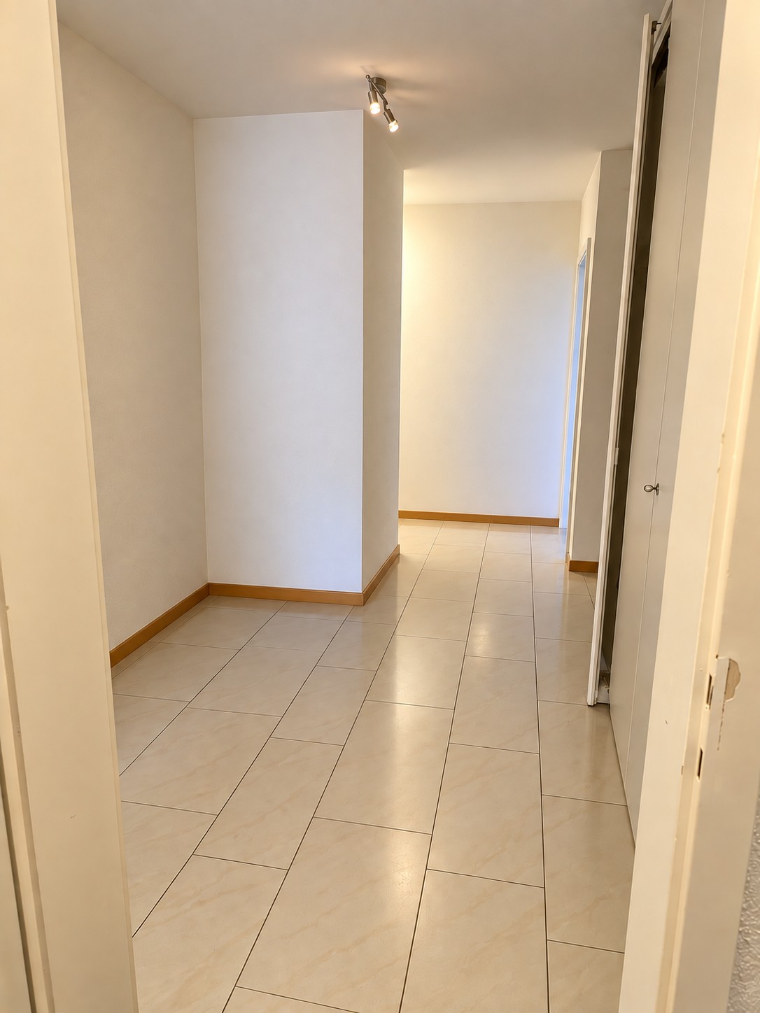 Appartement de 3 ½ pièces