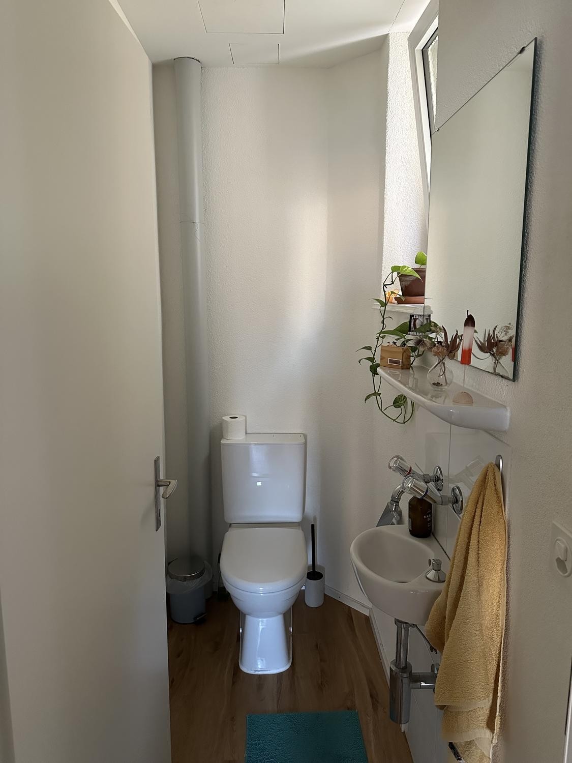Chambre en colocation