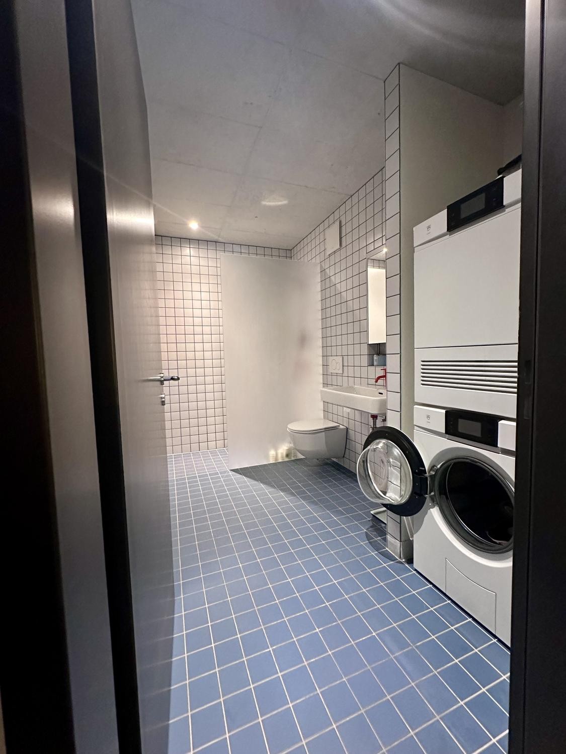 2 ½ Zimmer-Wohnung