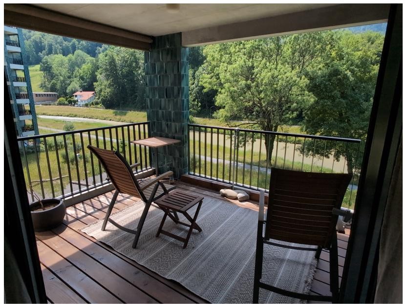 Appartement de 1 ½ pièces
