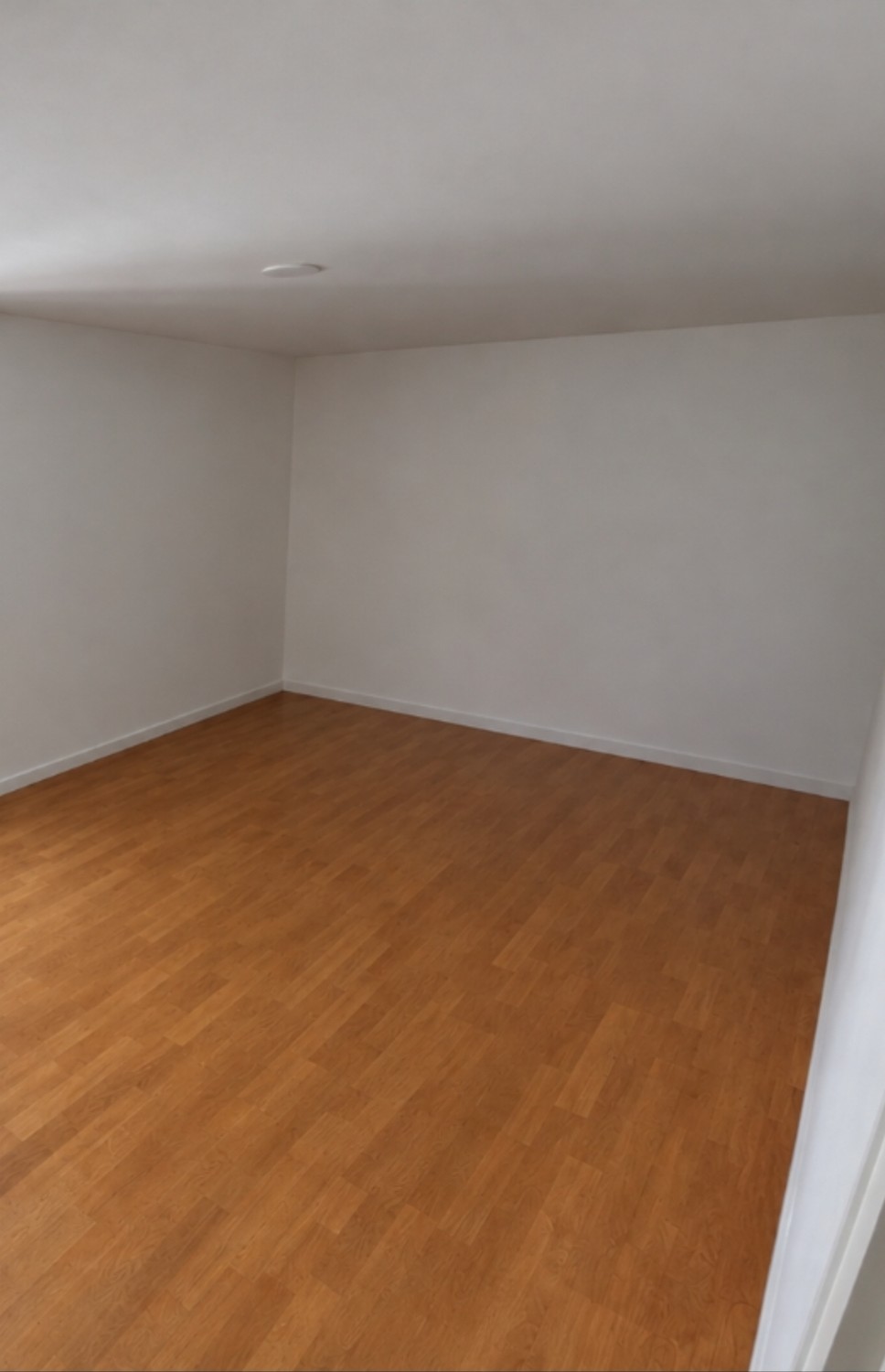Chambre dans une colocation