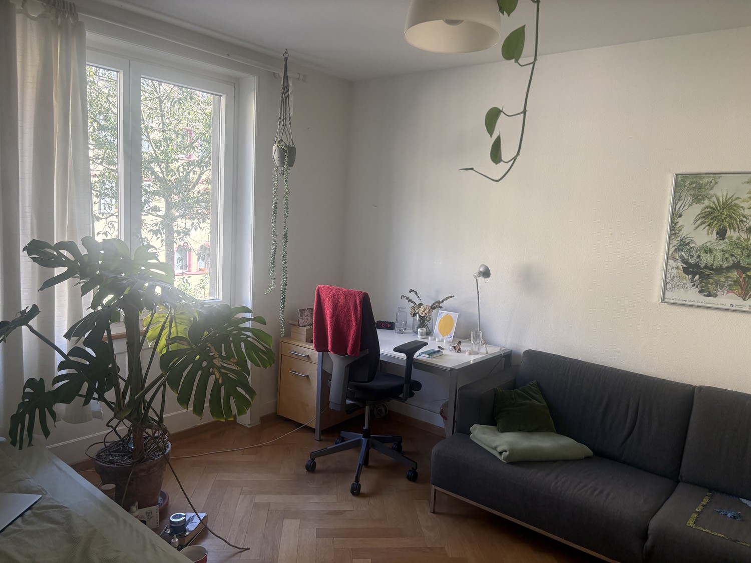 Room in a shared flat
