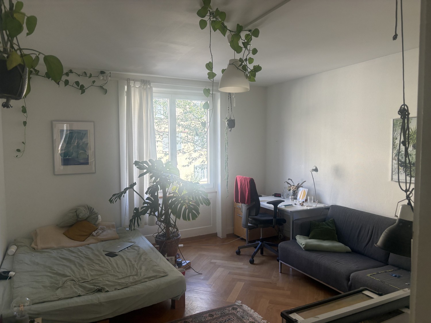 Room in a shared flat