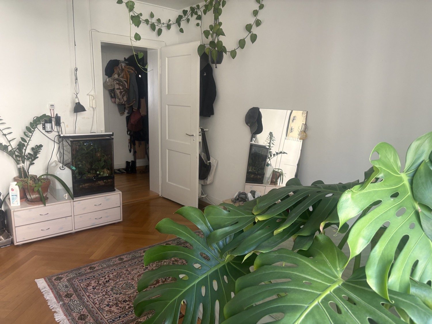 Room in a shared flat