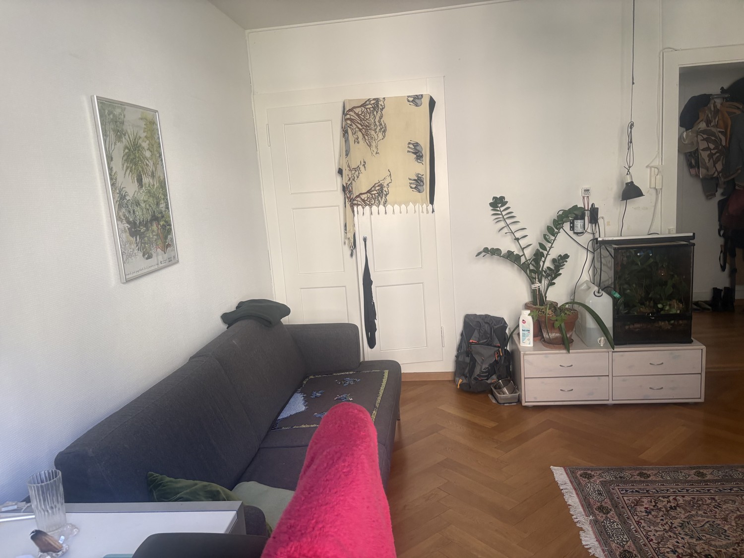 Room in a shared flat