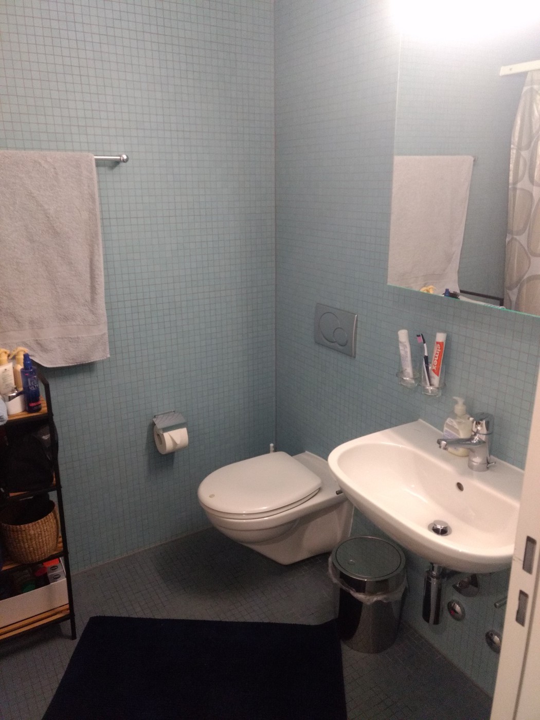 3 ½ Zimmer Wohnung