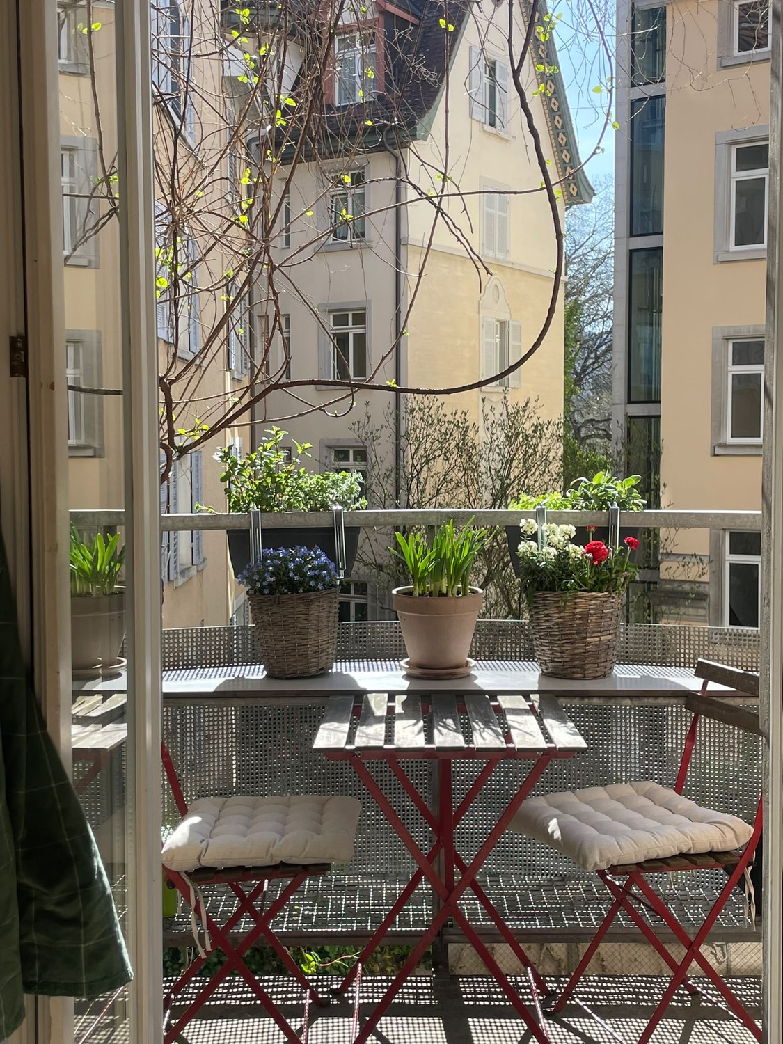 Appartement de 3 ½ pièces