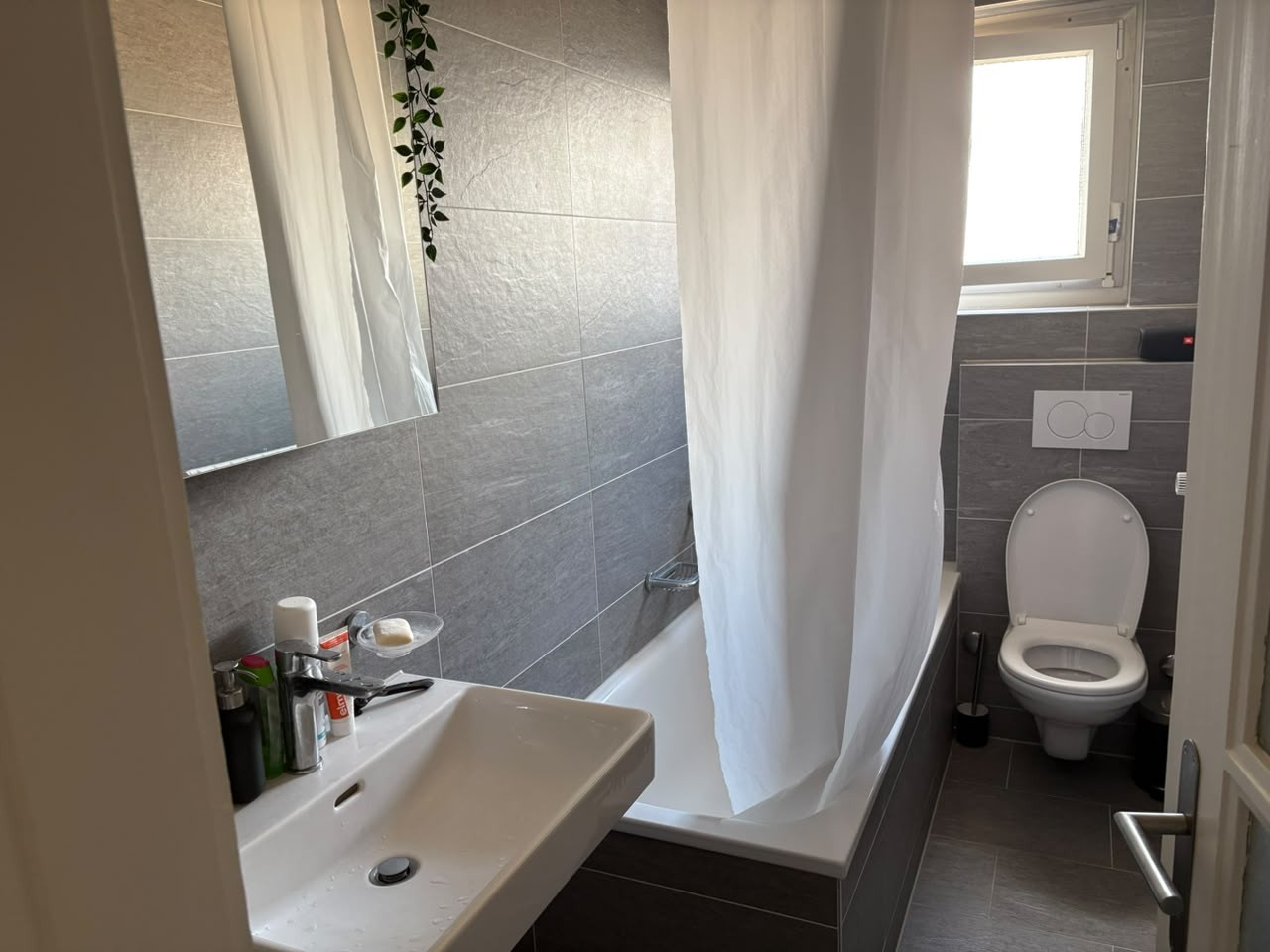 Chambre dans une colocation