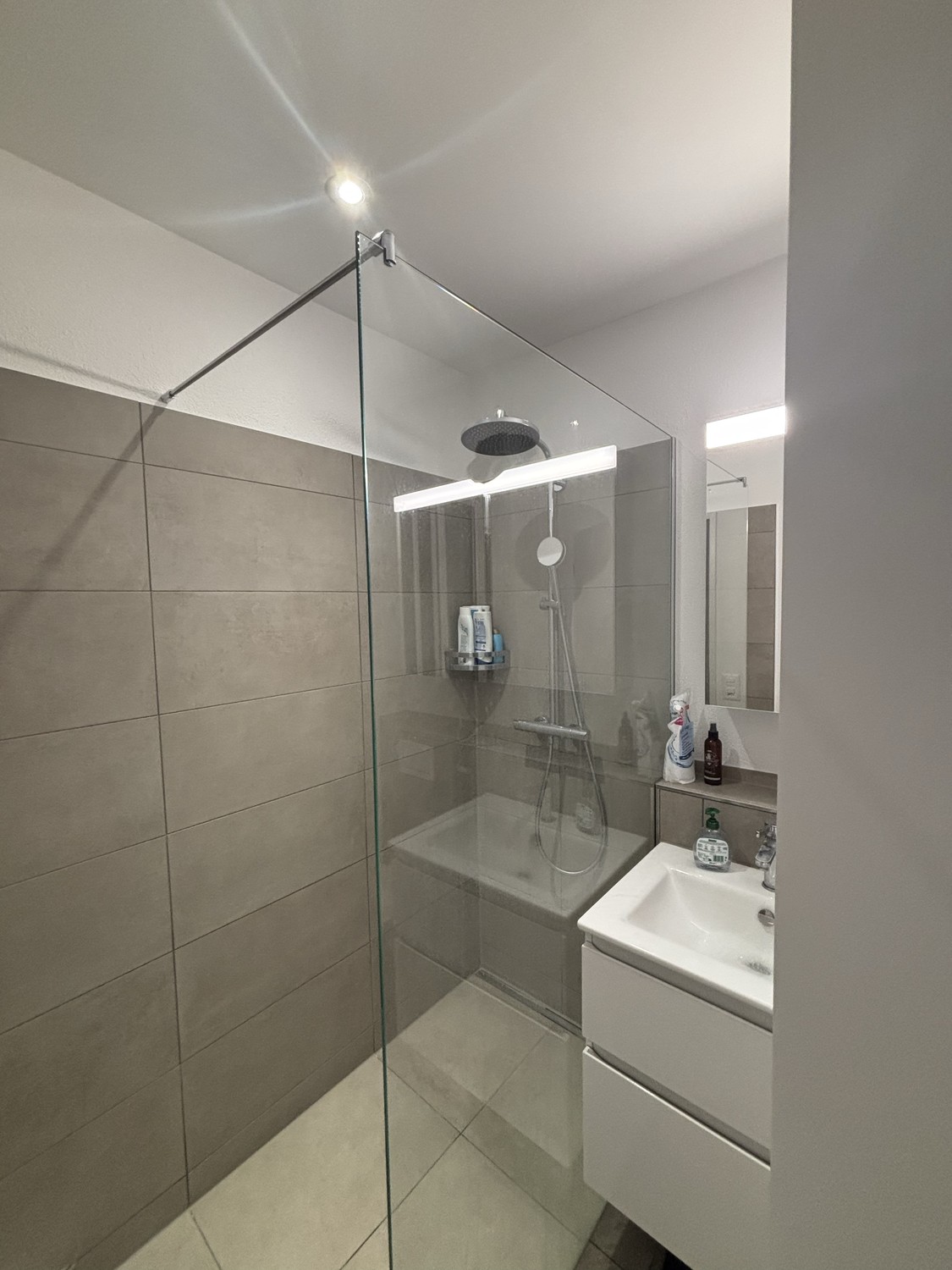 Appartamento di 1 ½ locali, foto 4 di 5