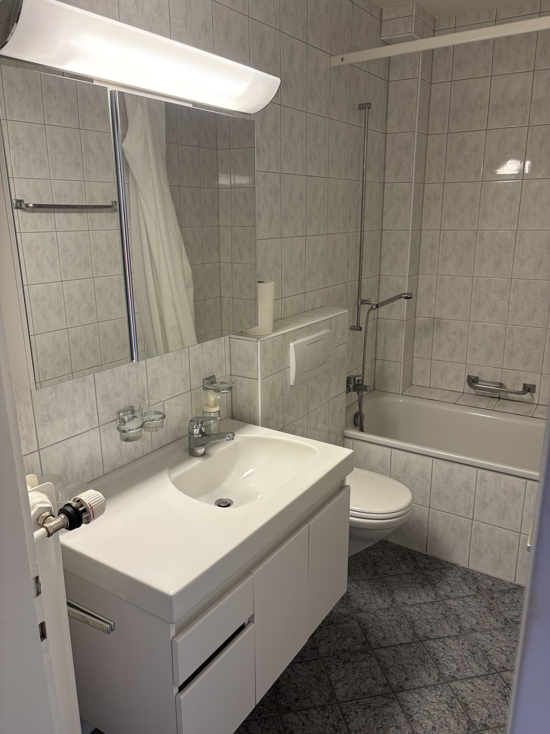 Appartement de 1 ½ pièces