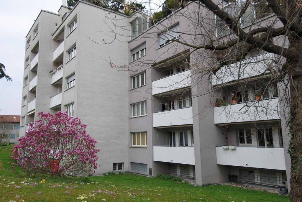 Appartement de 2 ½ pièces, photo 2 sur 10
