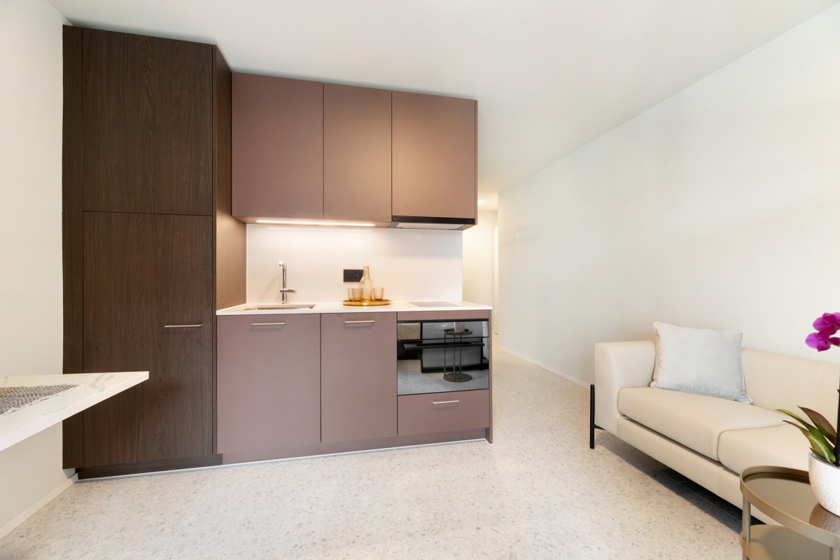 1 ½ rooms studio