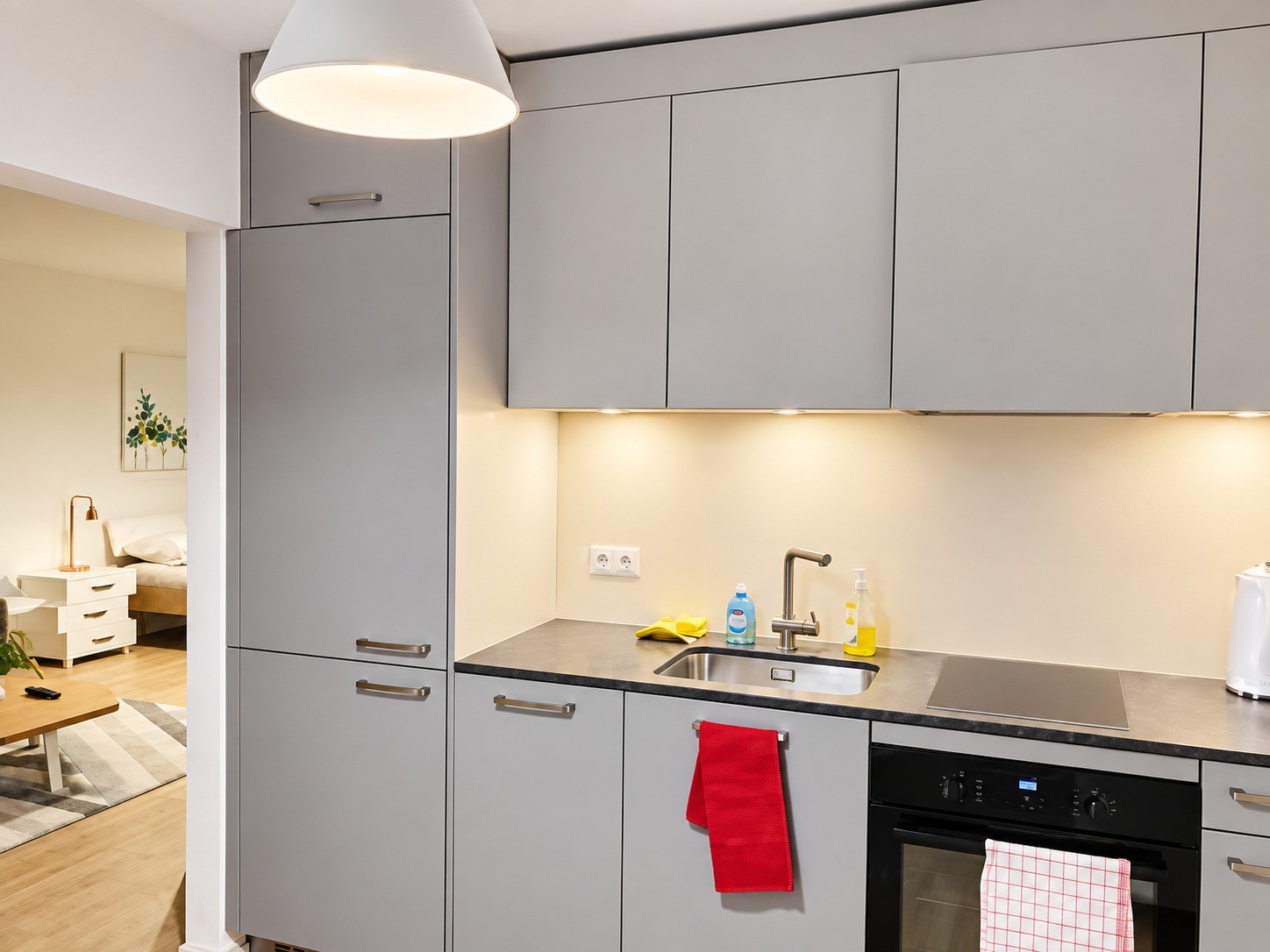 Appartamento arredato di 1 ½ locali, foto 7 di 8