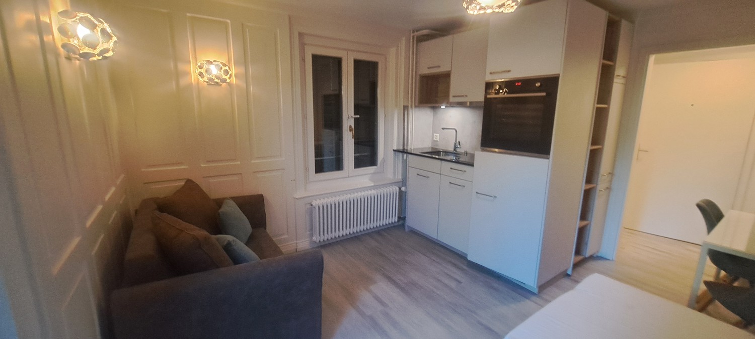 1-Zimmer-Wohnung