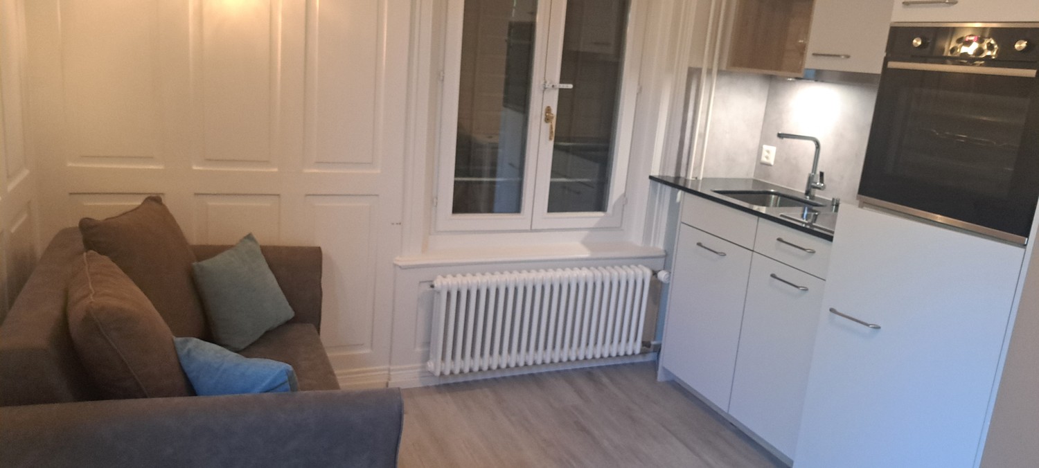 1-Zimmer-Wohnung