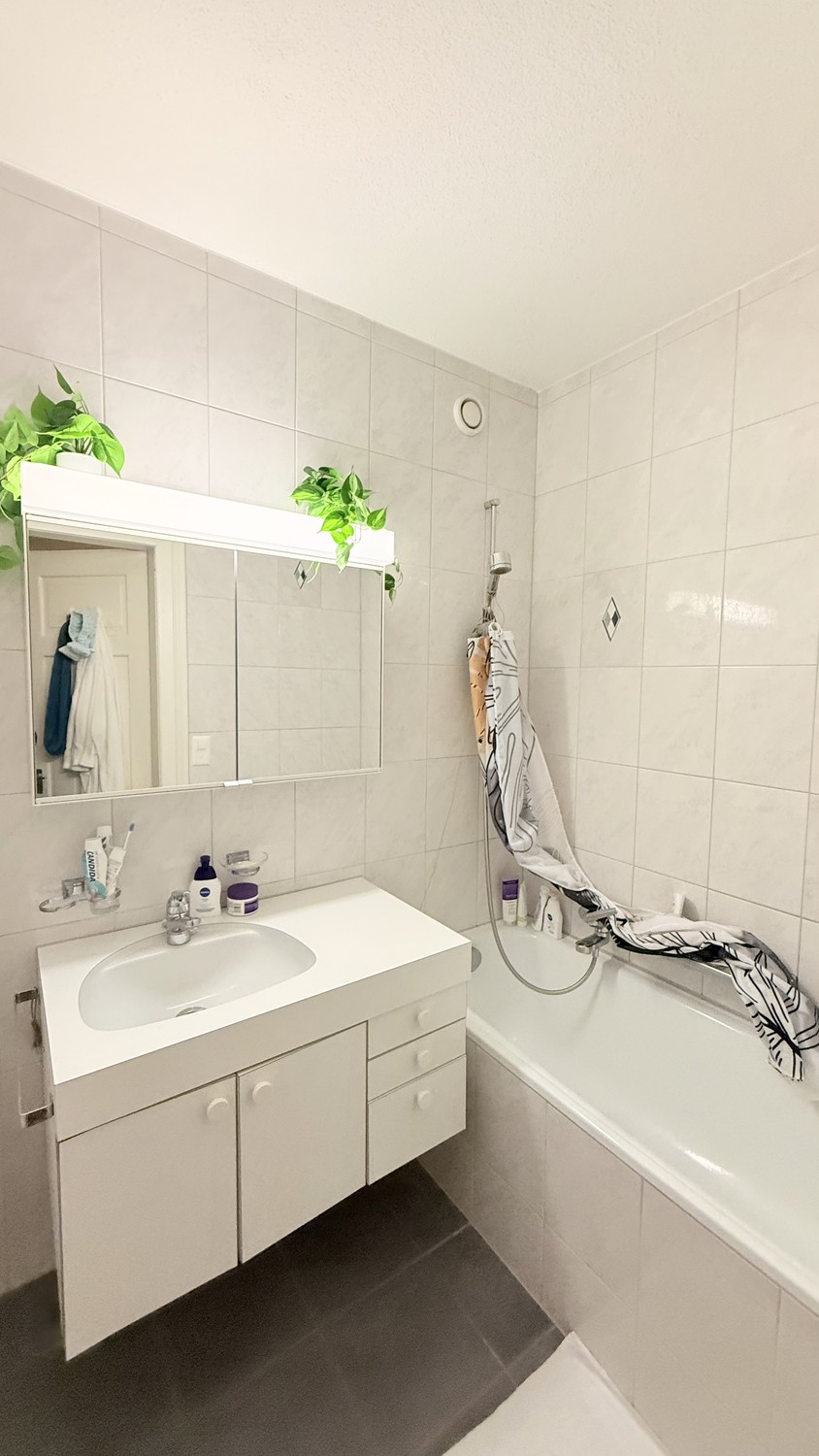 Chambre dans une colocation
