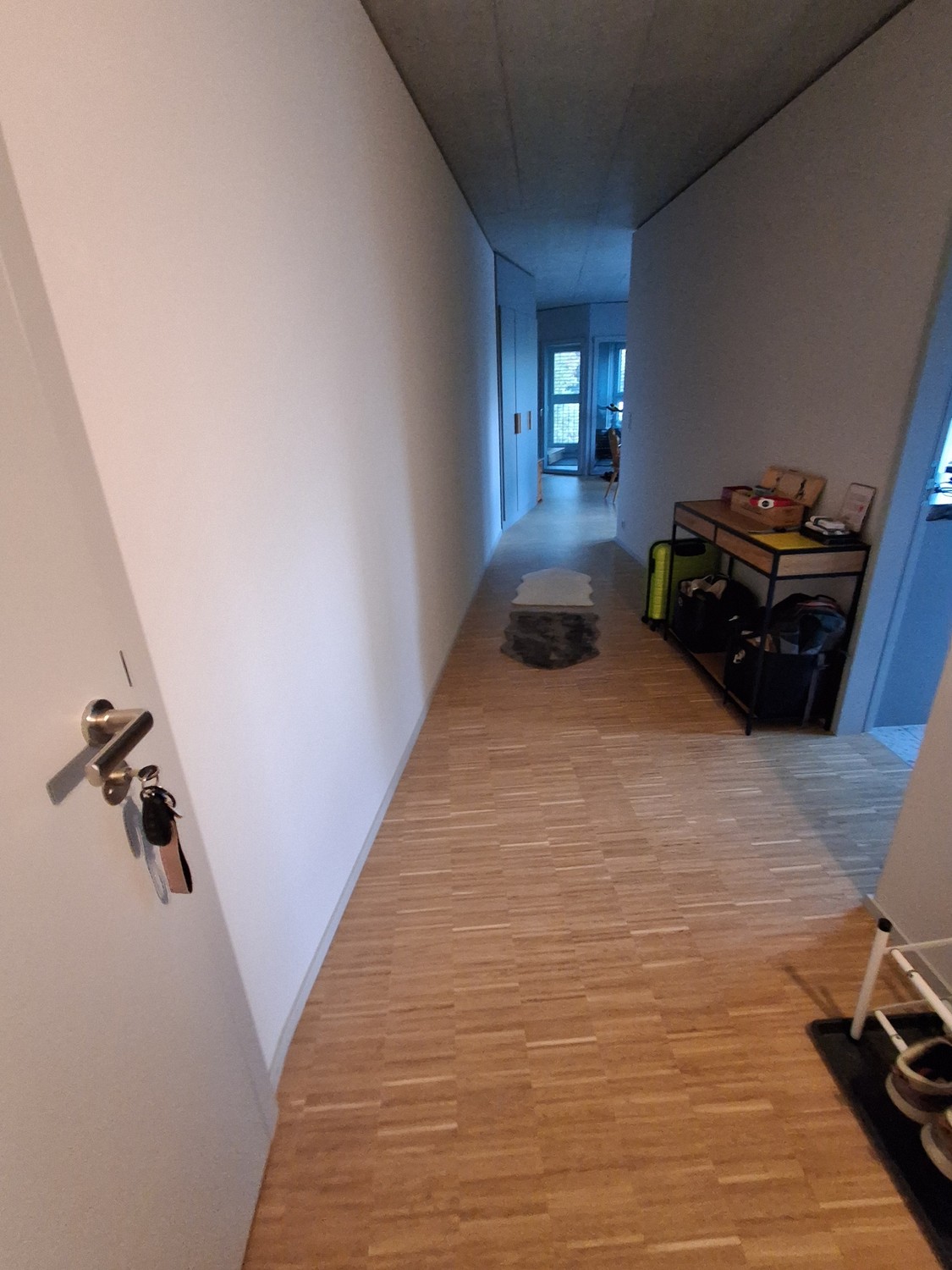 Appartement d'une pièce
