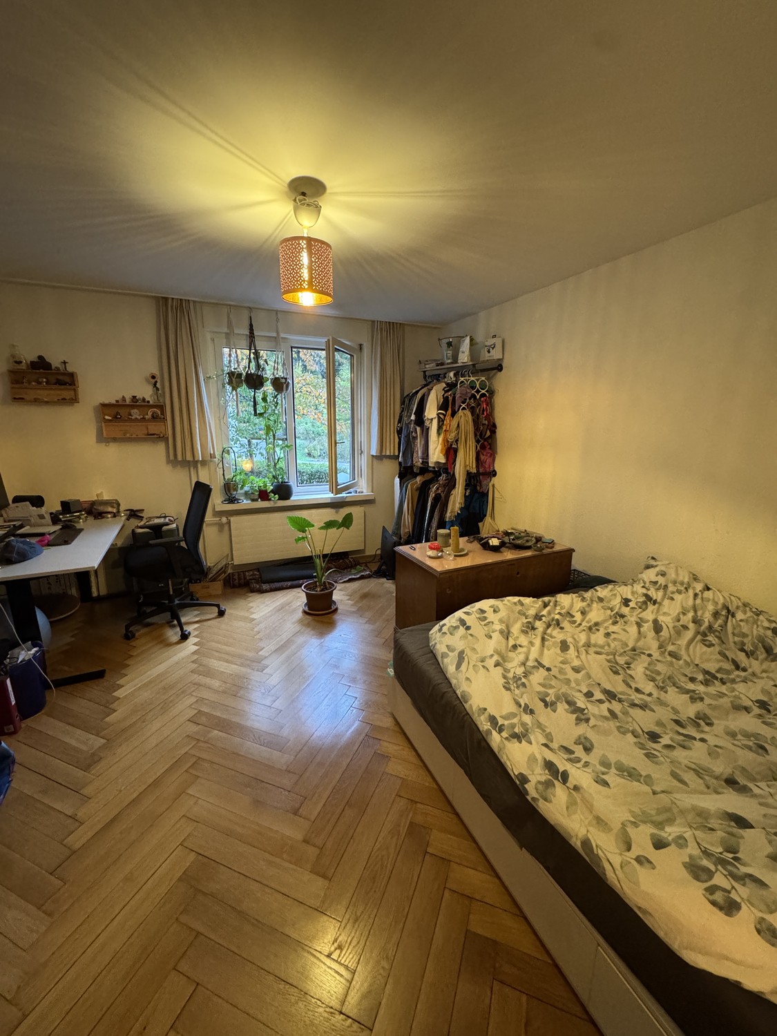 Room in a shared flat