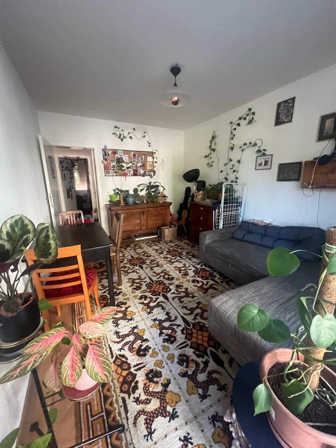 Room in a shared flat