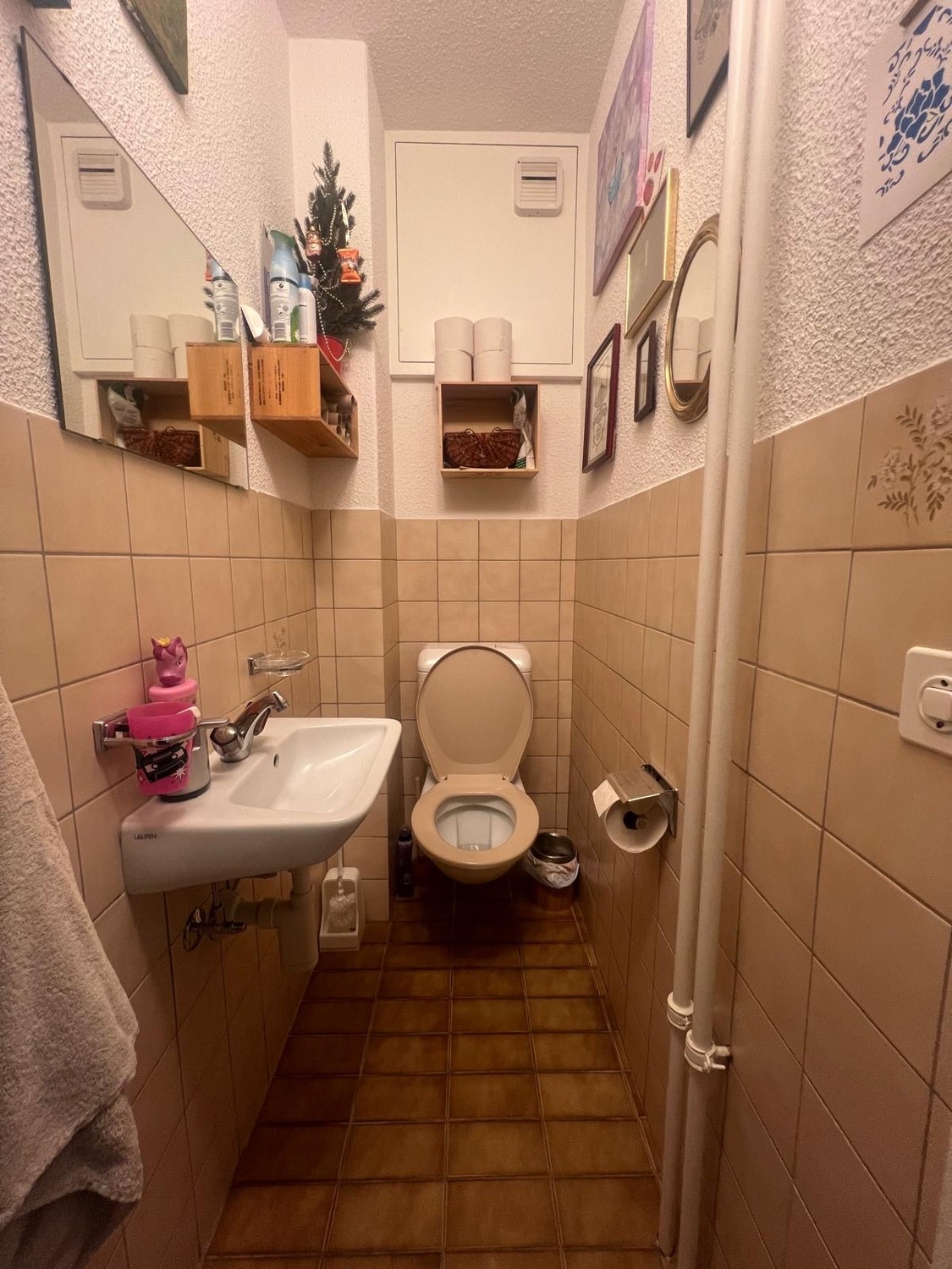 Room in a shared flat