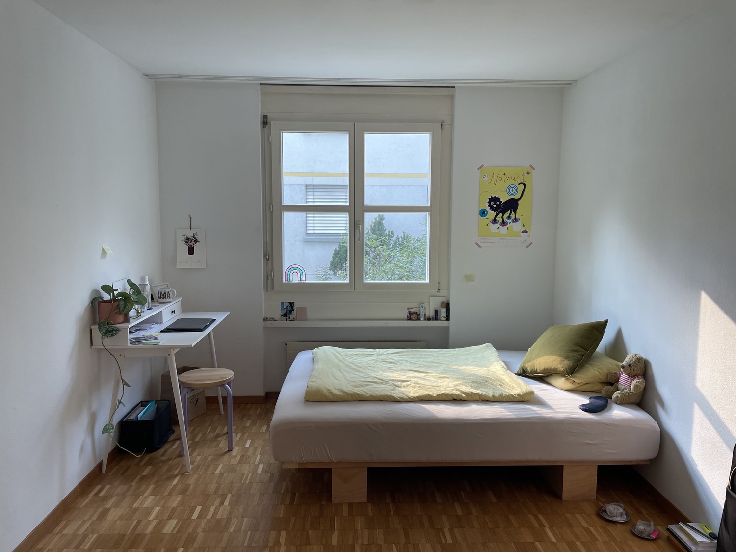 Room in a shared flat