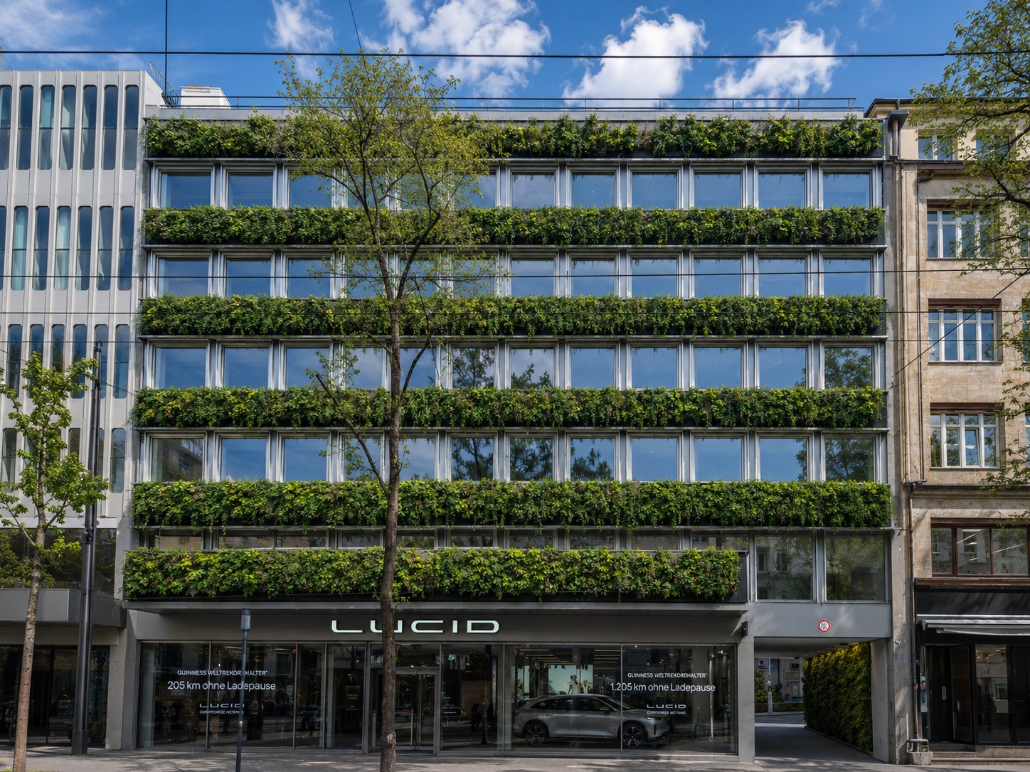 228m² office, Foto 6 von 10