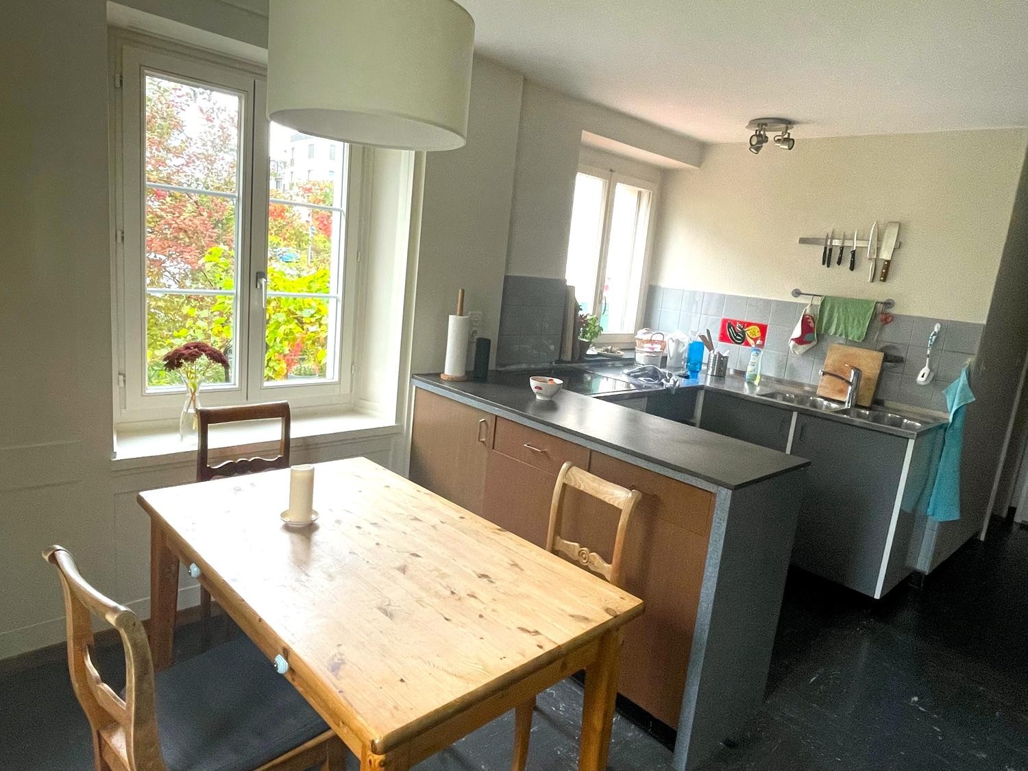 Appartement de 2 ½ pièces