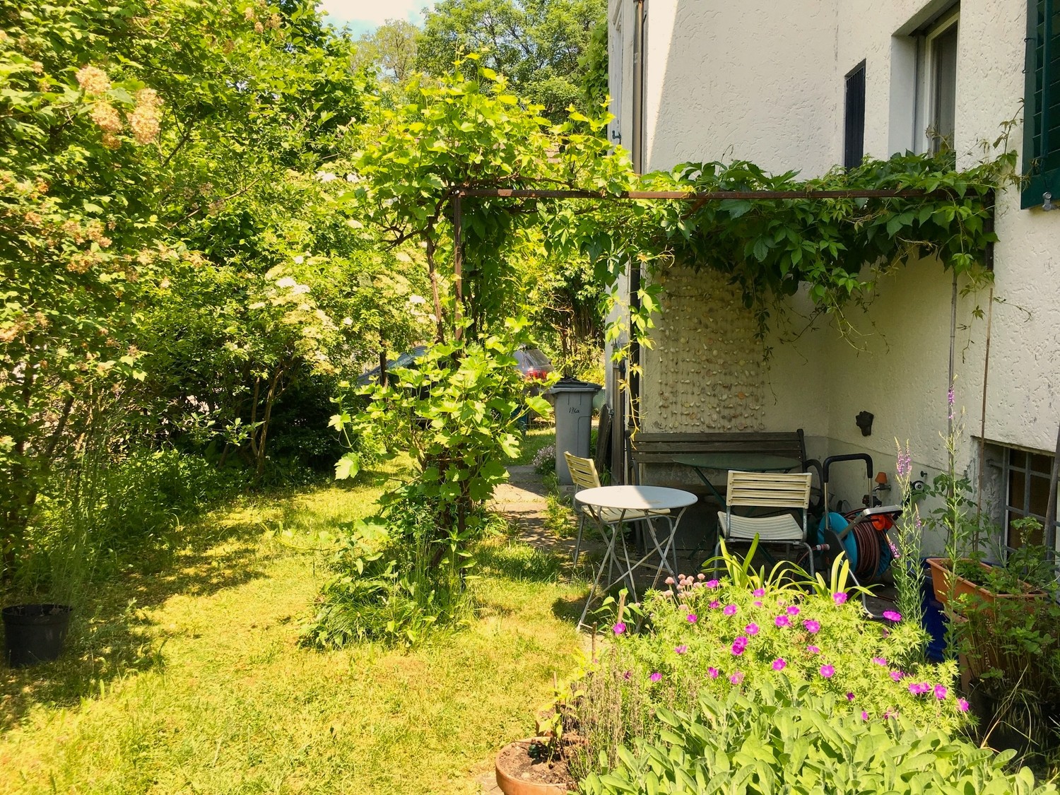 Appartement de 2 ½ pièces