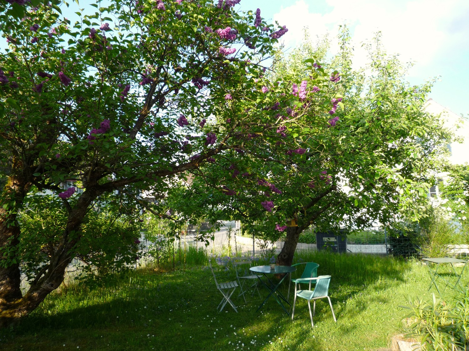 Appartement de 2 ½ pièces