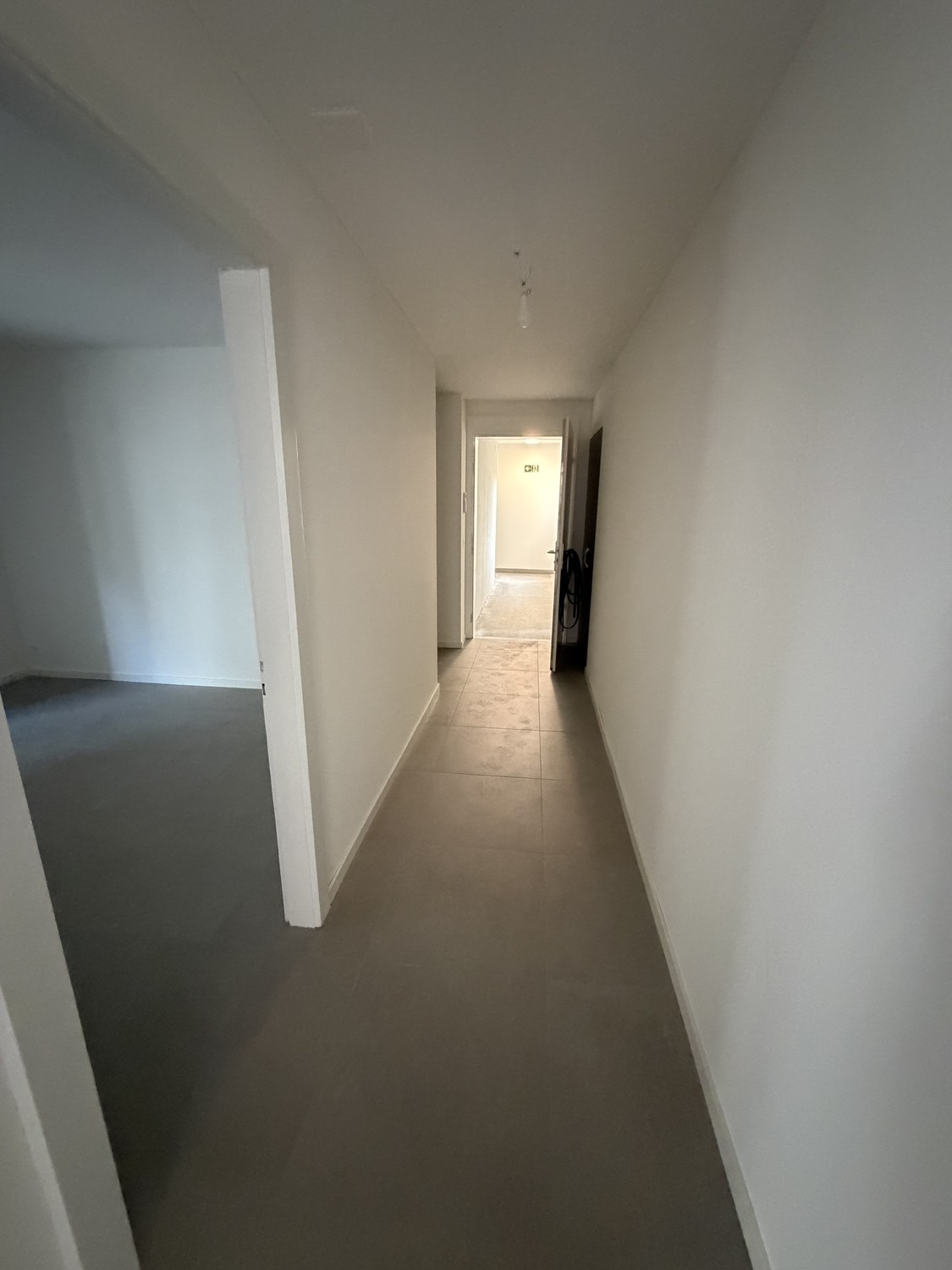 appartement 1 pièce