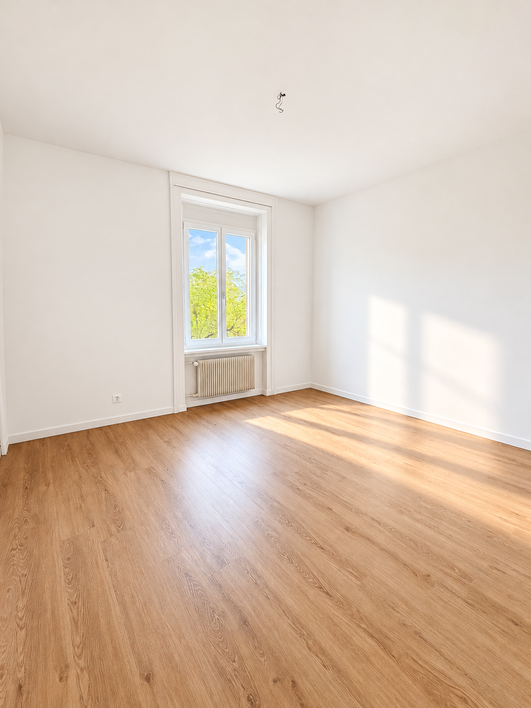 Appartement 1 pièce