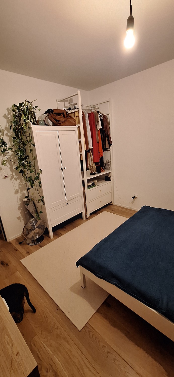 Chambre en colocation, photo 3 sur 10