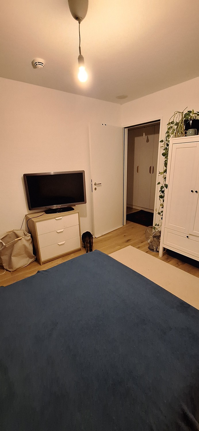 Chambre en colocation, photo 6 sur 10
