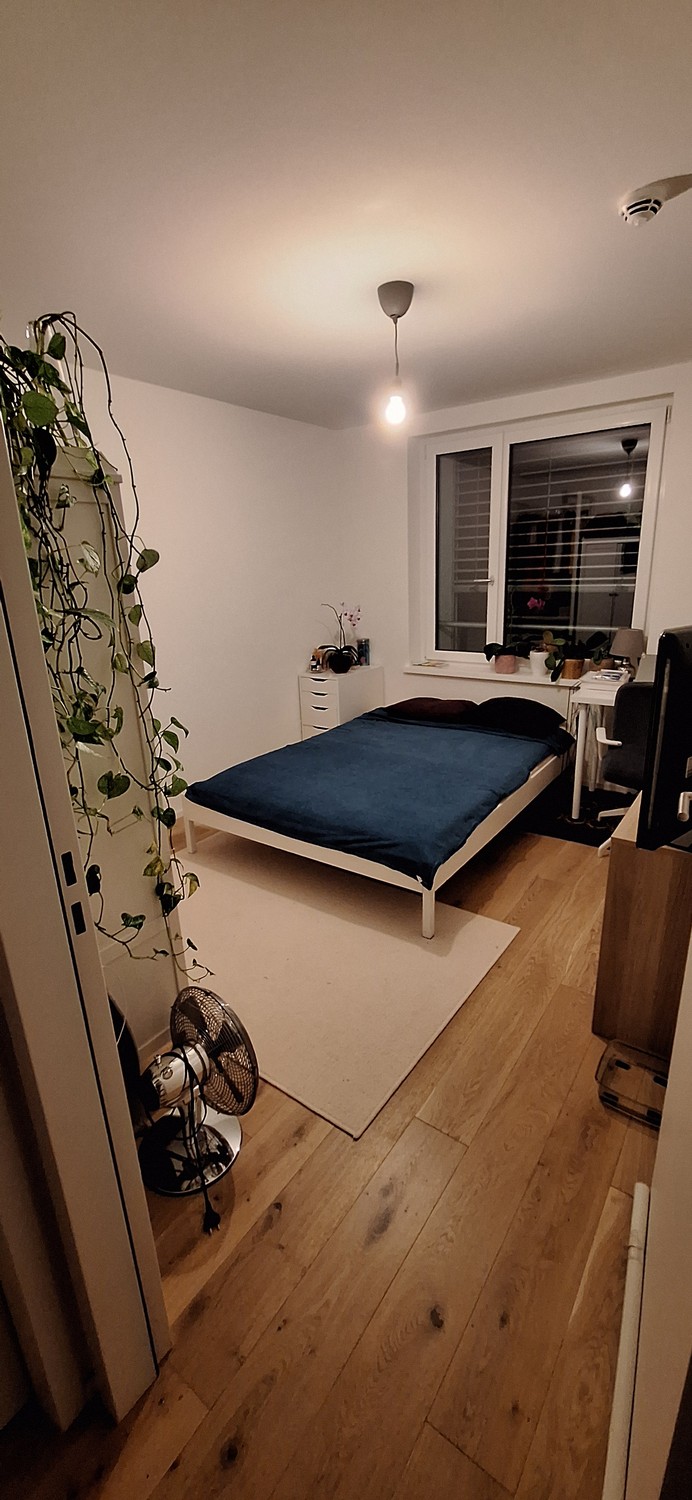 Chambre en colocation, photo 2 sur 10