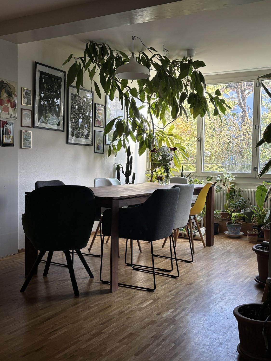 Stanza in un appartamento condiviso, foto 4 di 5