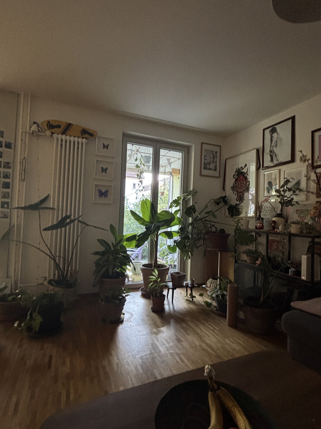 Stanza in un appartamento condiviso, foto 5 di 5