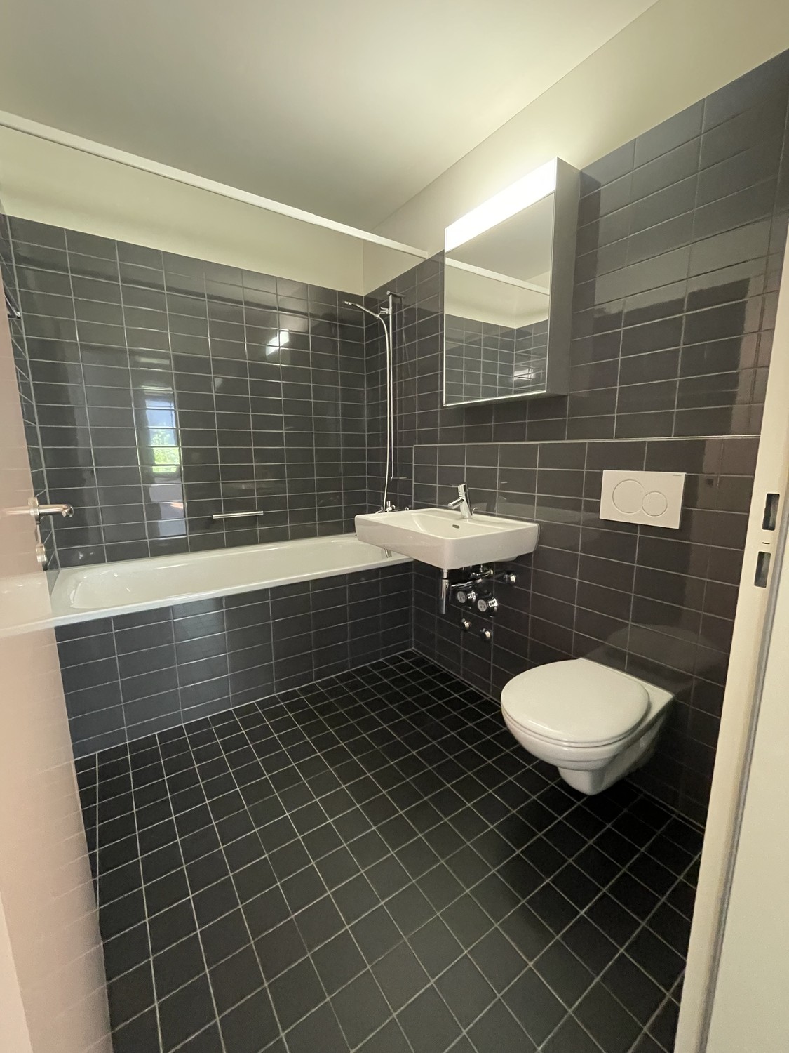 3 ½ Zimmer-Wohnung
