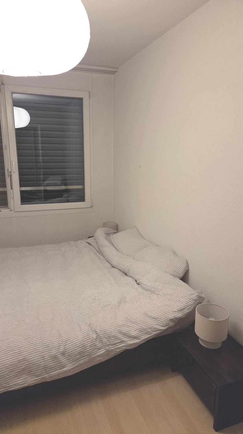 4 ½ rooms furnished flat