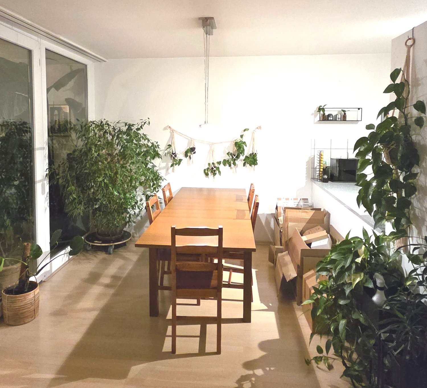 4 ½ rooms furnished flat