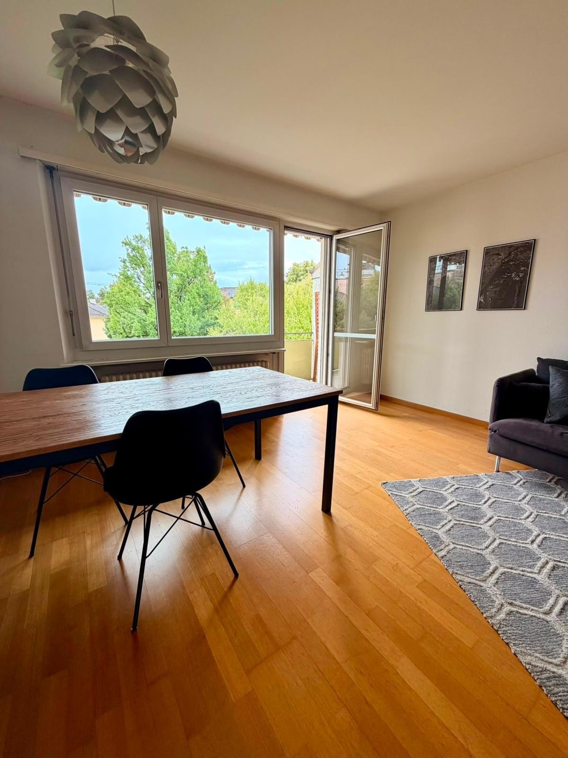 Appartement de 3 ½ pièces