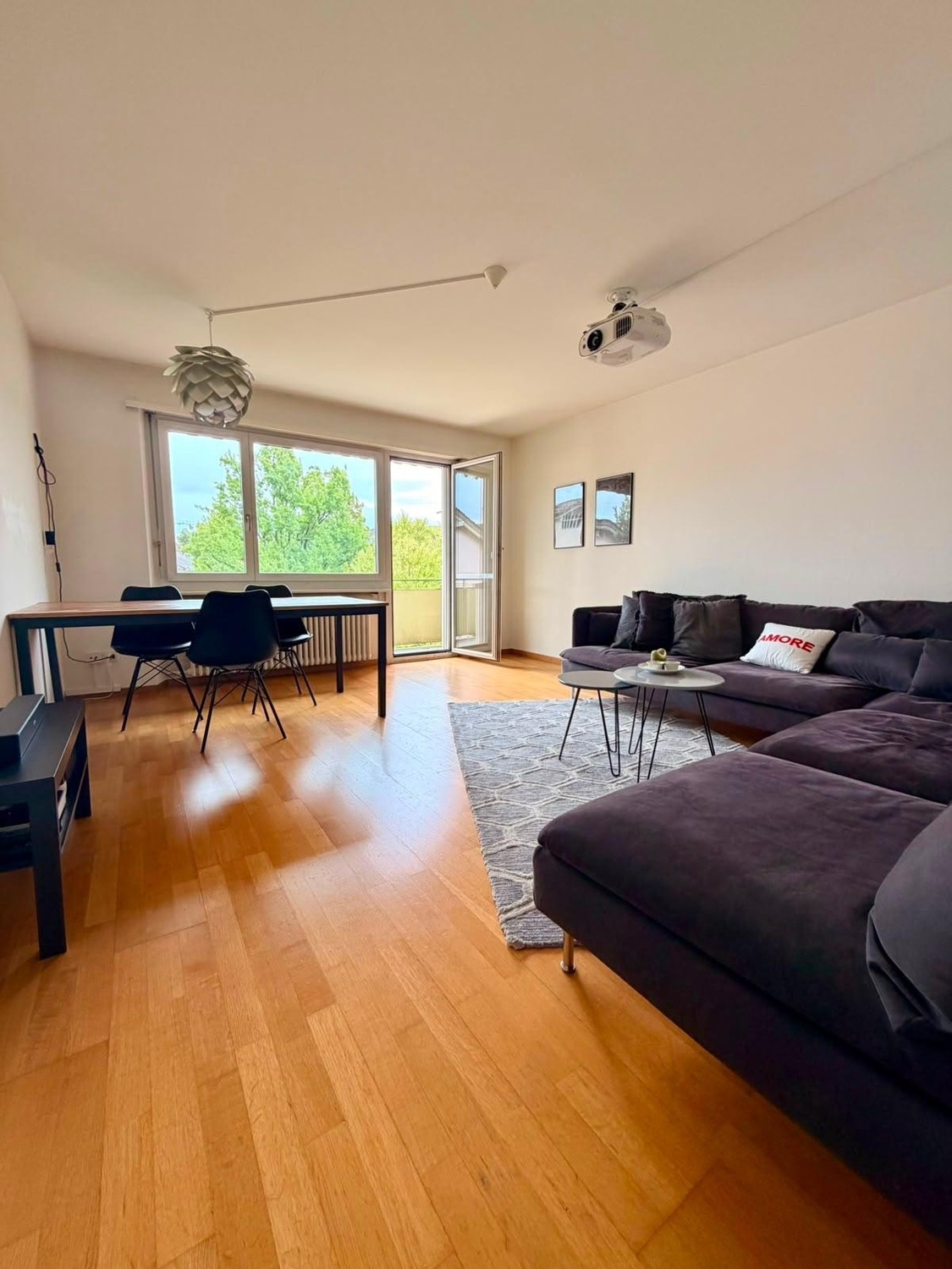 Appartement de 3 ½ pièces