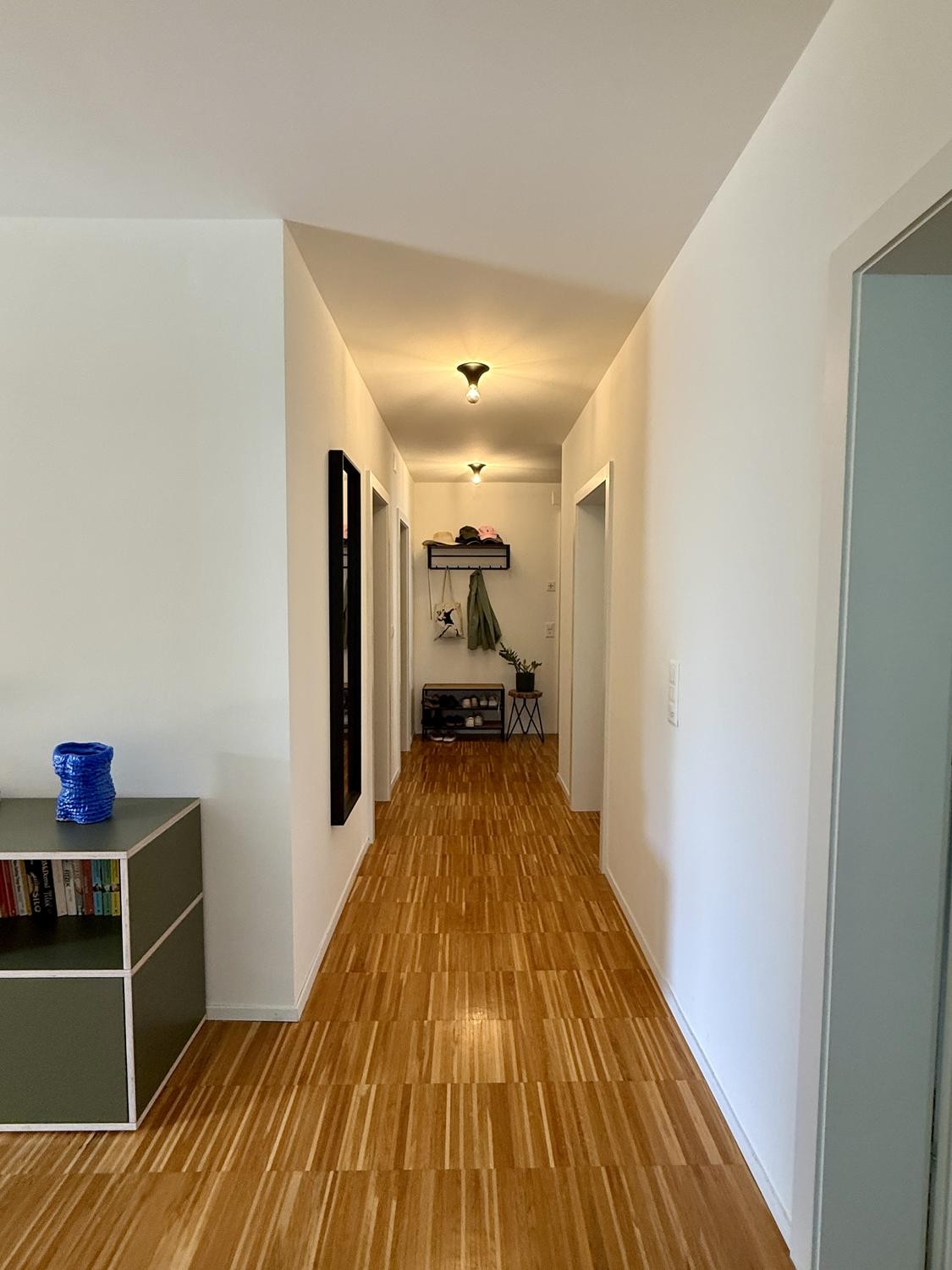 Appartement de 3 ½ pièces