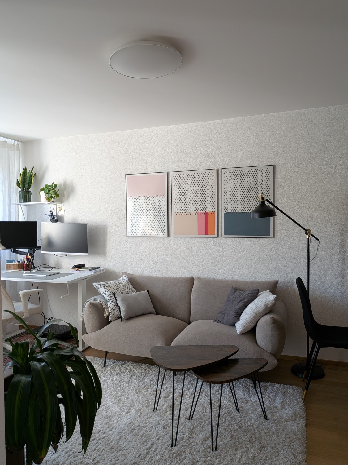 Appartement 1 pièce