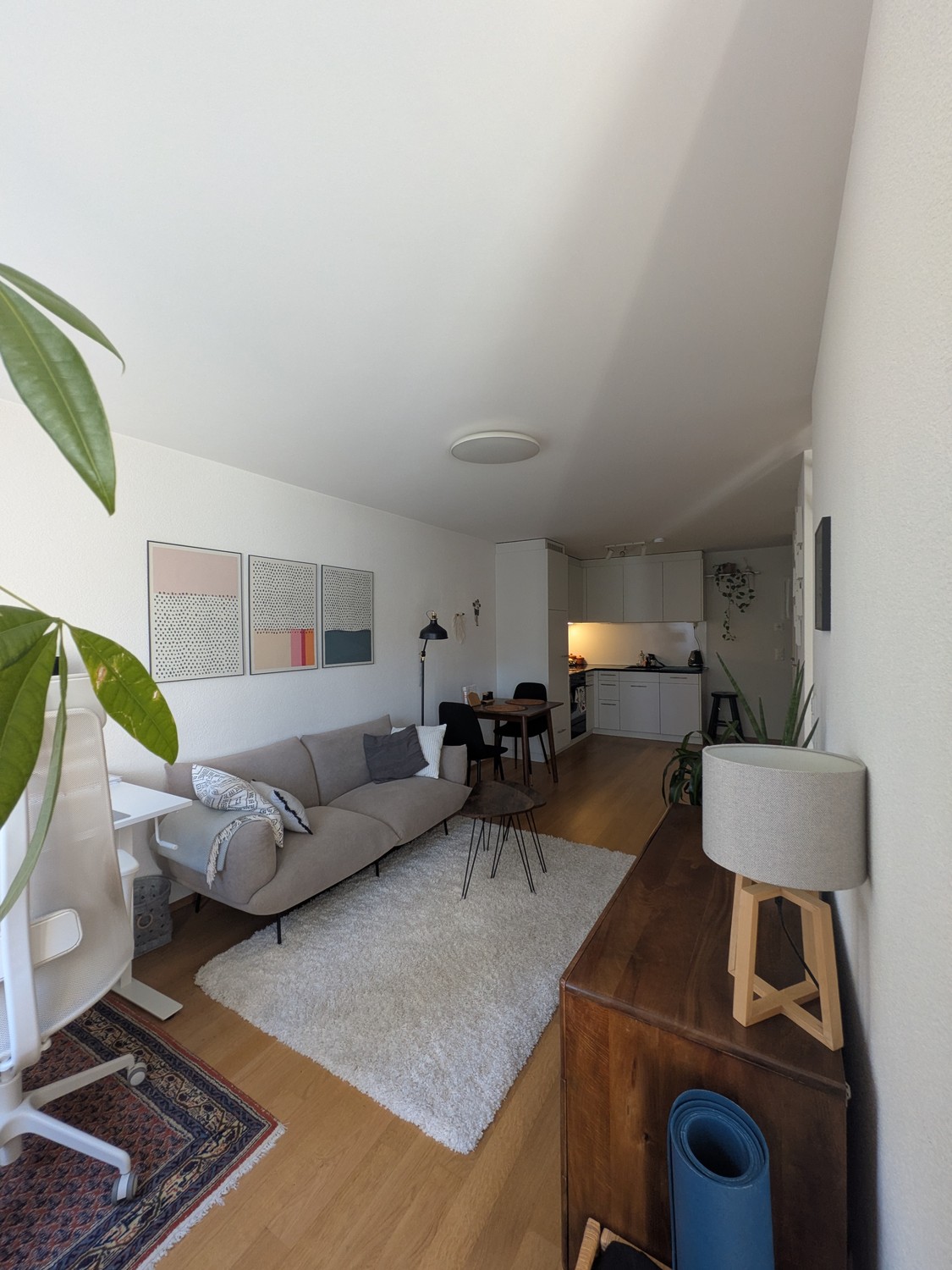 Appartement 1 pièce