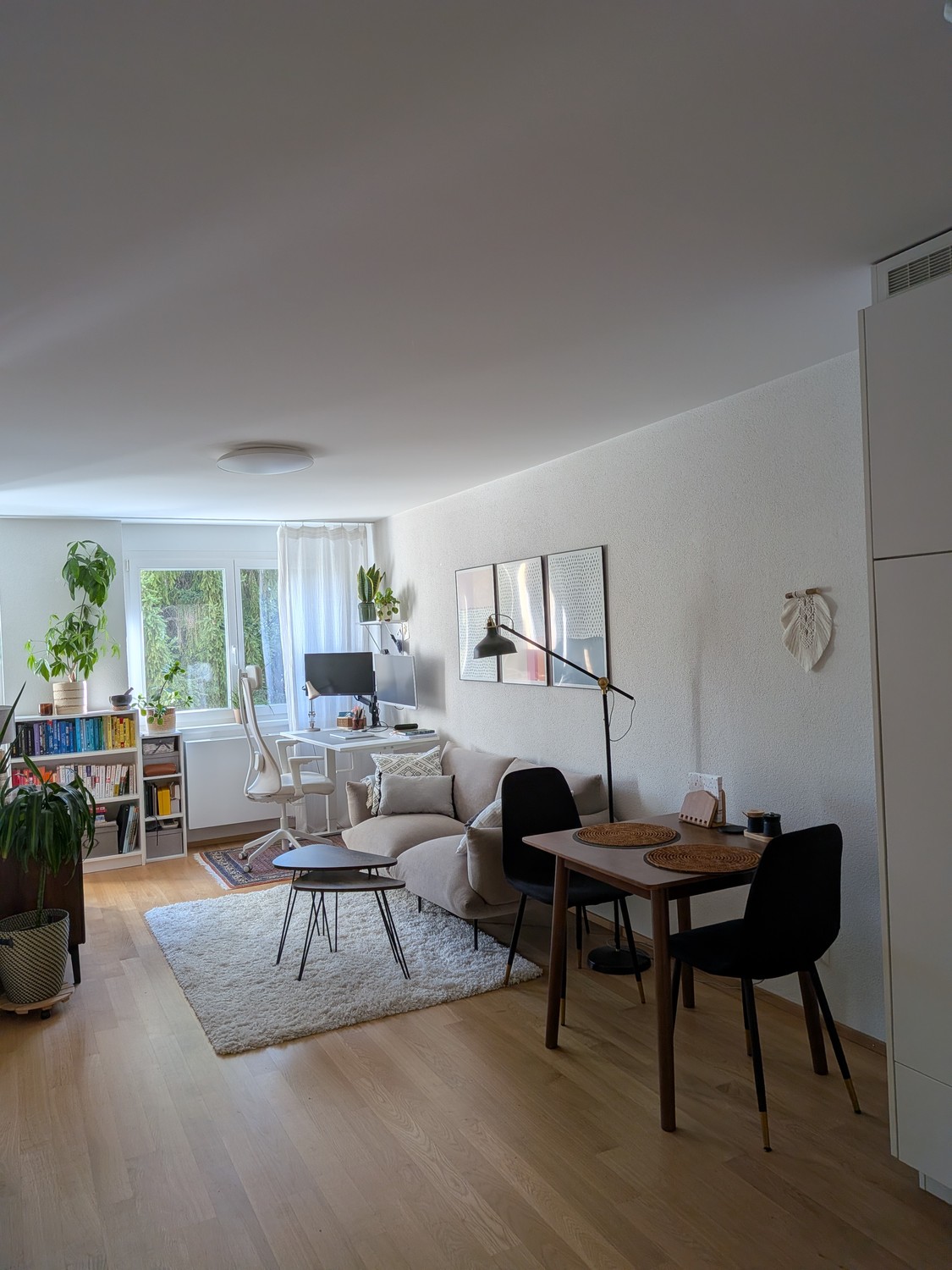 Appartement 1 pièce
