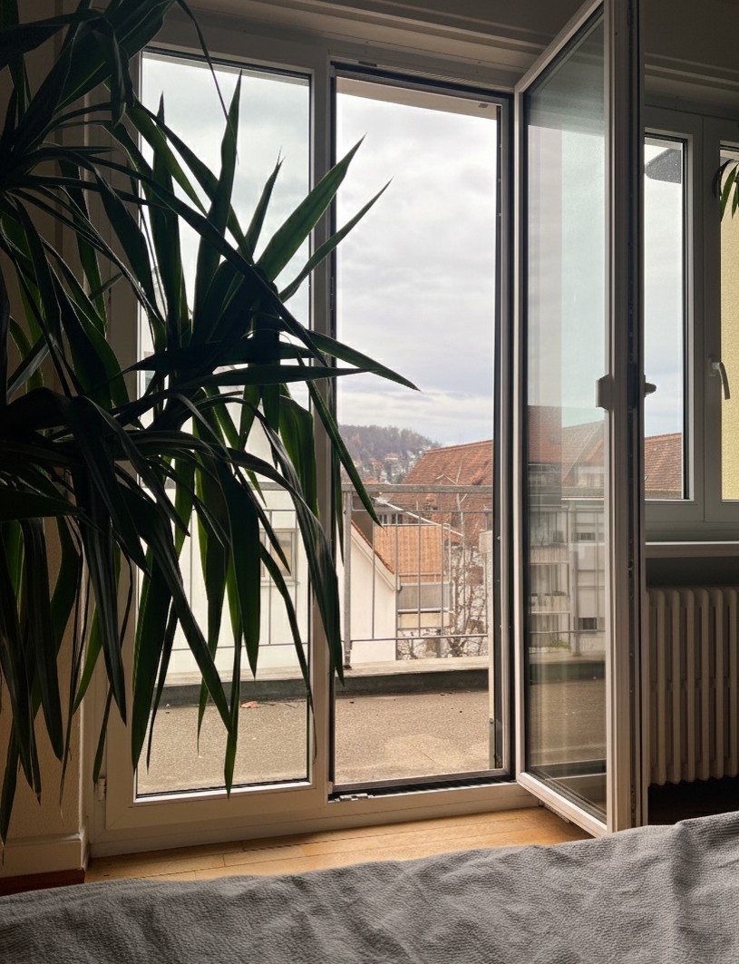 Appartement de 2 ½ pièces, photo 6 sur 10