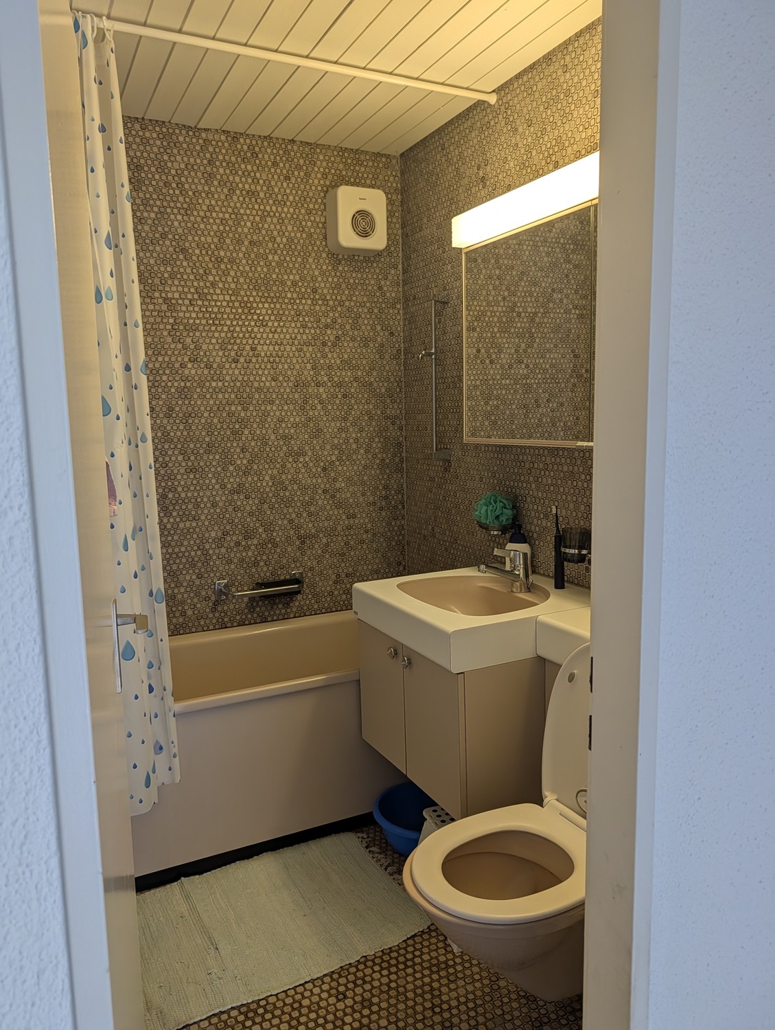 2 ½ Zimmer Wohnung