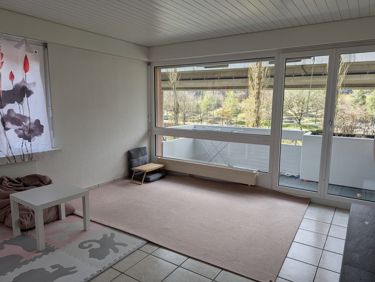 2 ½ Zimmer Wohnung